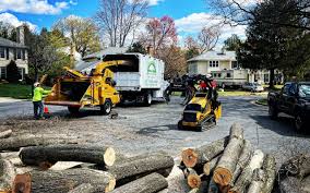 Middletown, CA Tree Services Company